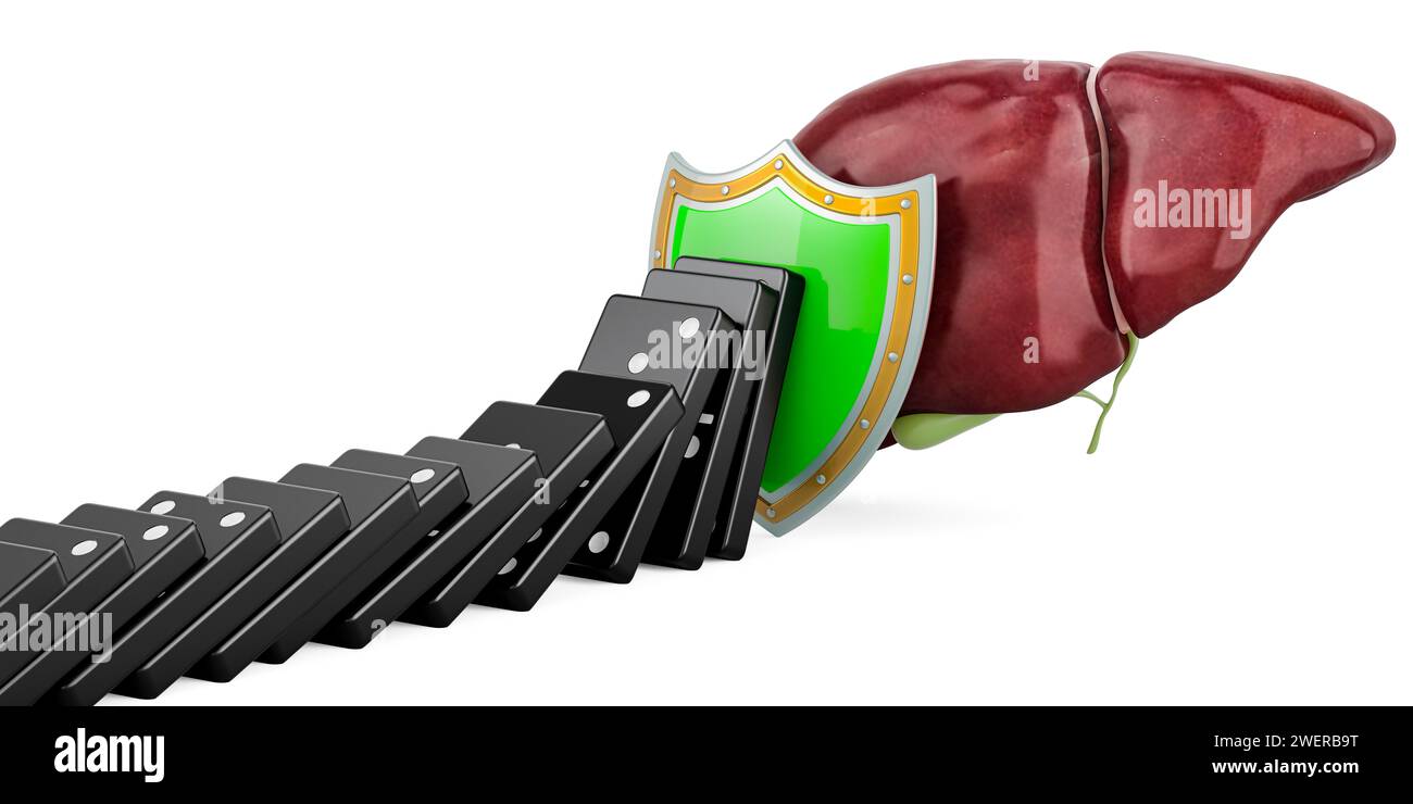 Vor menschlicher Leber schützen, Domino-Effekt stoppen. Schutz der Leber, Konzept. 3D-Rendering isoliert auf weißem Hintergrund Stockfoto