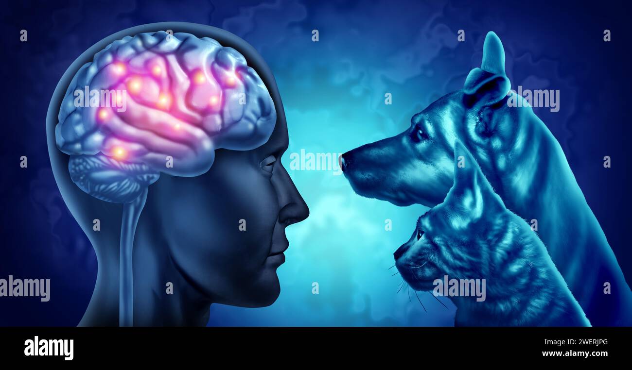 Haustiere und Demenztherapie und verbesserte Gehirngesundheit und Stimmung oder soziale Interaktion als psychologische Vorteile mit Haustiertherapien als Konzept zu helfen Stockfoto