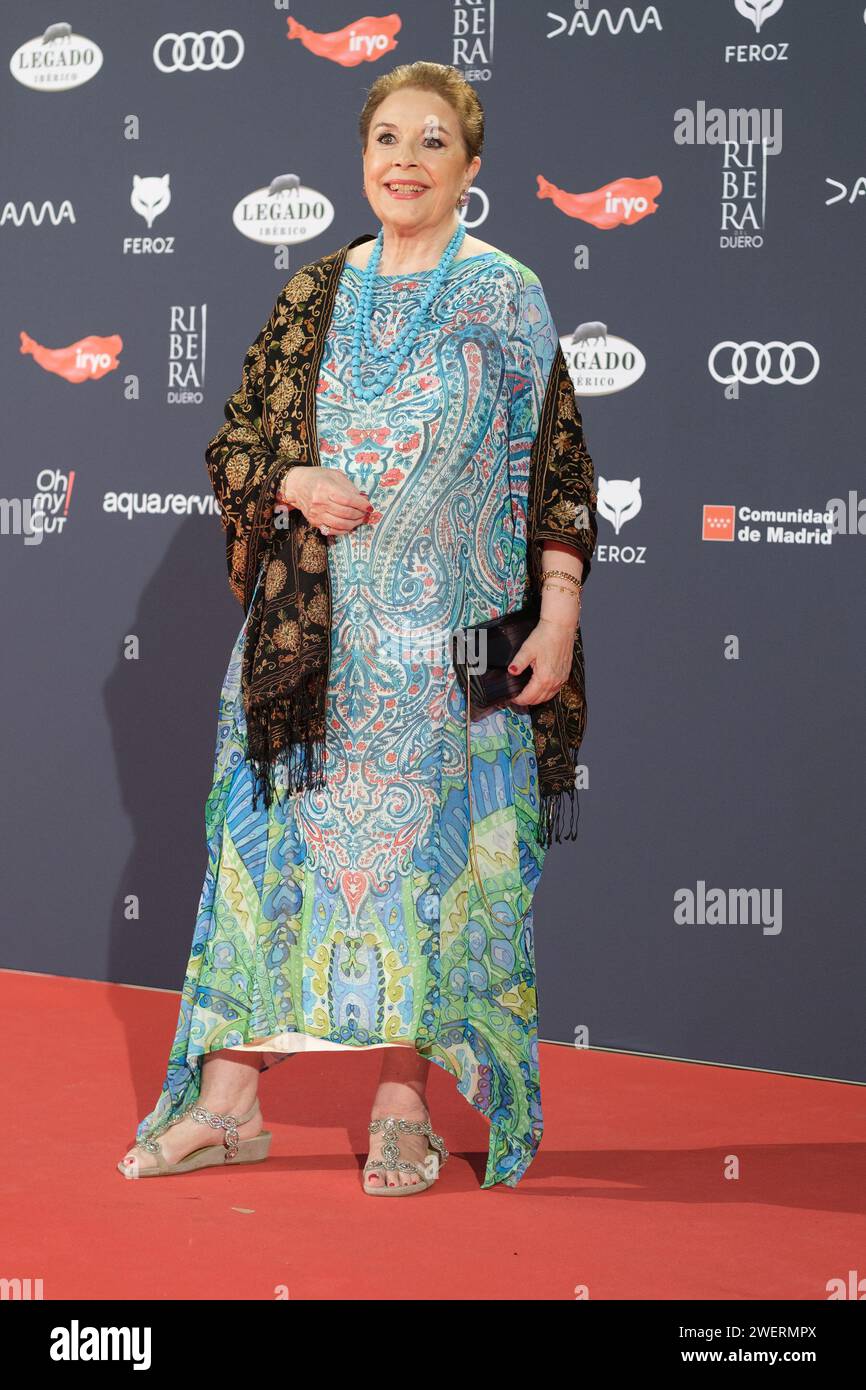 Monica Randall nahm am 26. Januar 2024 am Roten Teppich der Feroz Awards 2024 in der Palacio Vistalegre Arena in Madrid Teil. Stockfoto