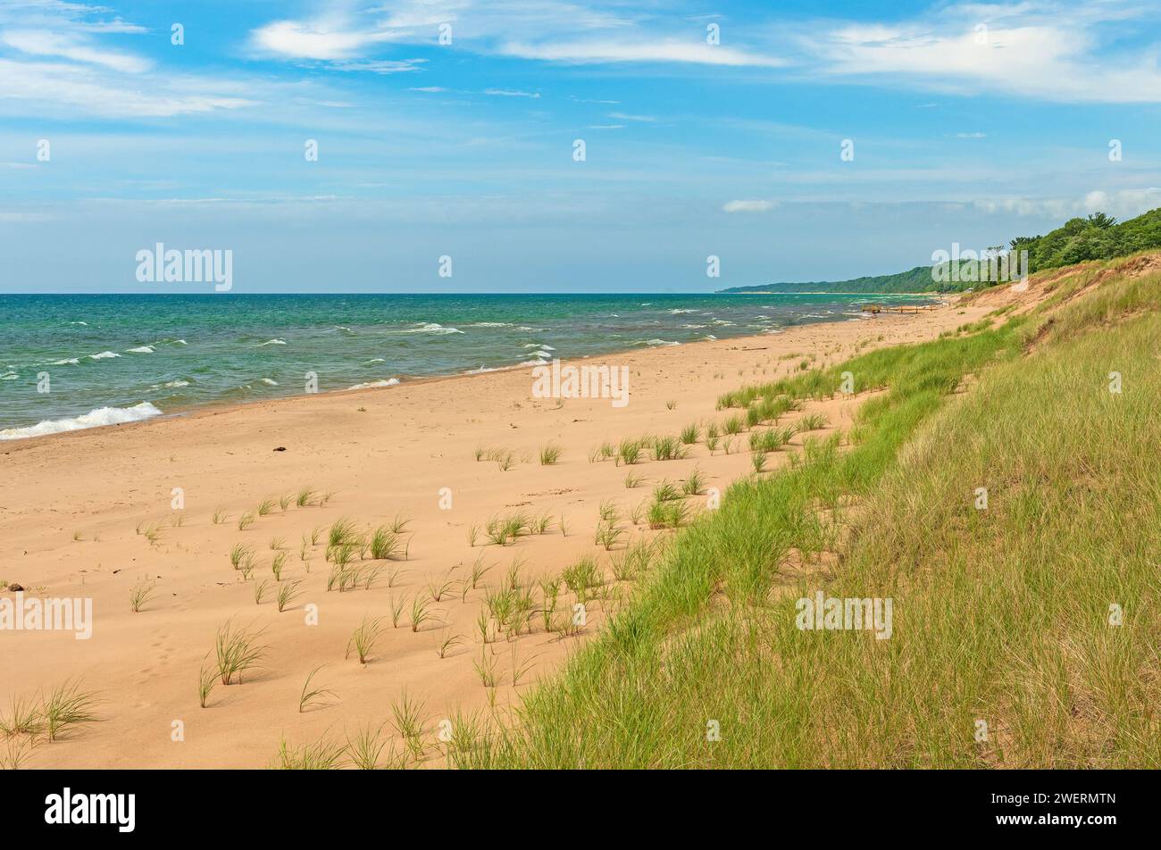 Strandgräser auf Dünen an einem Sandstrand am Lake Michigan in der Nähe von Montague, Michigan Stockfoto