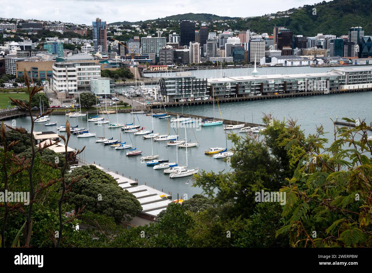 Boat Harbour and Waterfront, Wellington, Nordinsel, Neuseeland Stockfoto