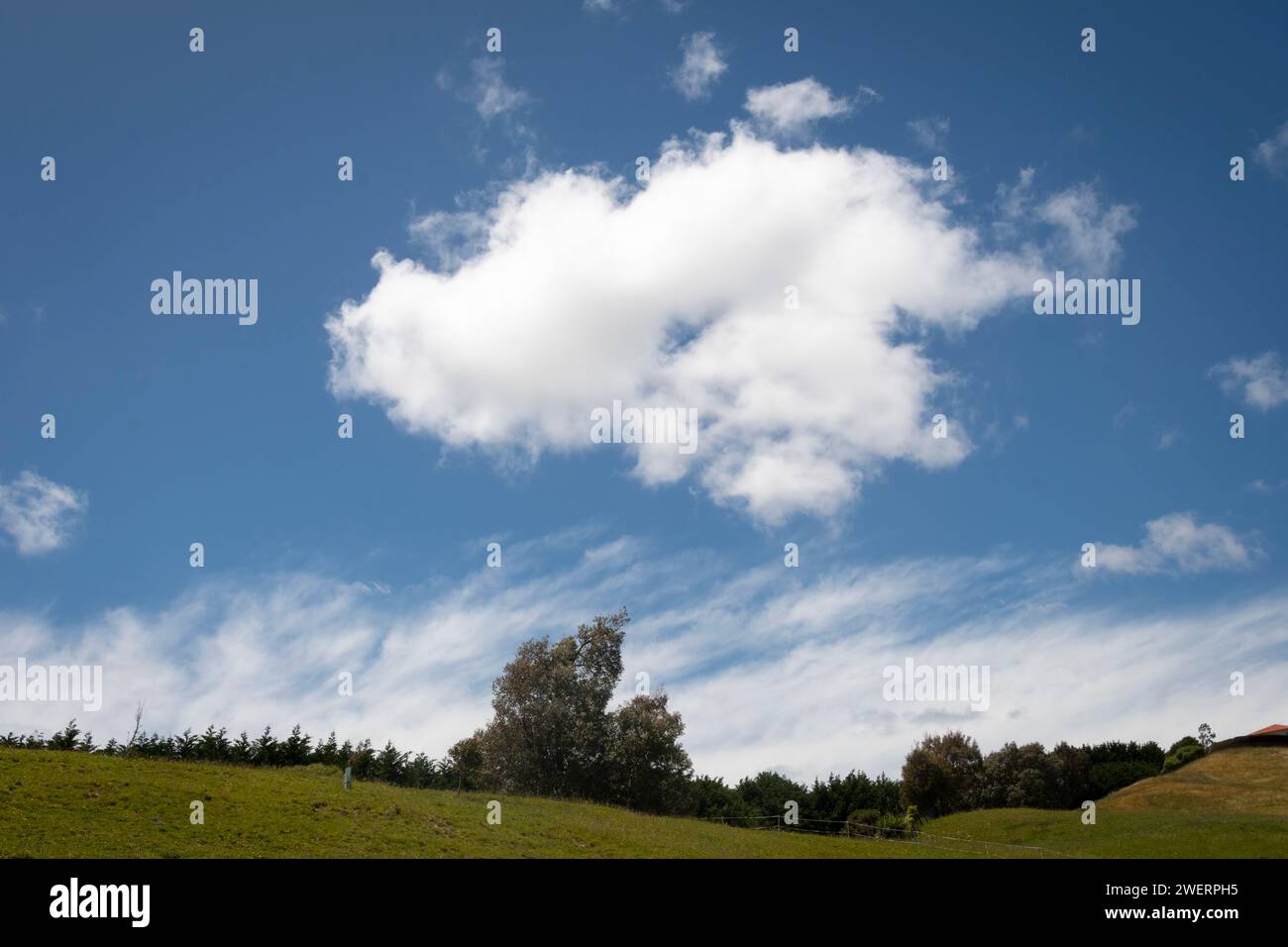 Weiße Wolke am blauen Himmel über Bäumen und Ackerland, Pauatahanui, Porirua, Wellington, Nordinsel, Neuseeland Stockfoto