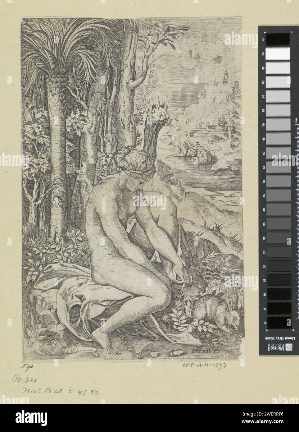 Venus und de Roos, Marco Dente, nach Rafaël, 1517 - 1562 Druck Venus sitzt auf einem Felsen in einer Landschaft. Sie nimmt einen Dorn eines Rosenstrauchs von ihrem Fuß. Im Vordergrund rechts ein Kaninchen. Papiergravur Venus, die von den Dornen eines Rosenbusches verwunden wird; die Rosen wechseln von weiß zu rot (möglicherweise kombiniert mit der Geschichte von Adonis) Stockfoto