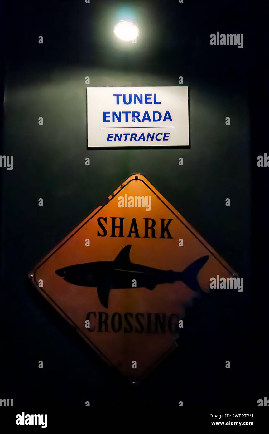 Ein Schild, das den Eingang des Aquariums für große Haifische im Aquarium AquaRio im Stadtteil Gamboa, Hafenbereich, zeigt. Stockfoto