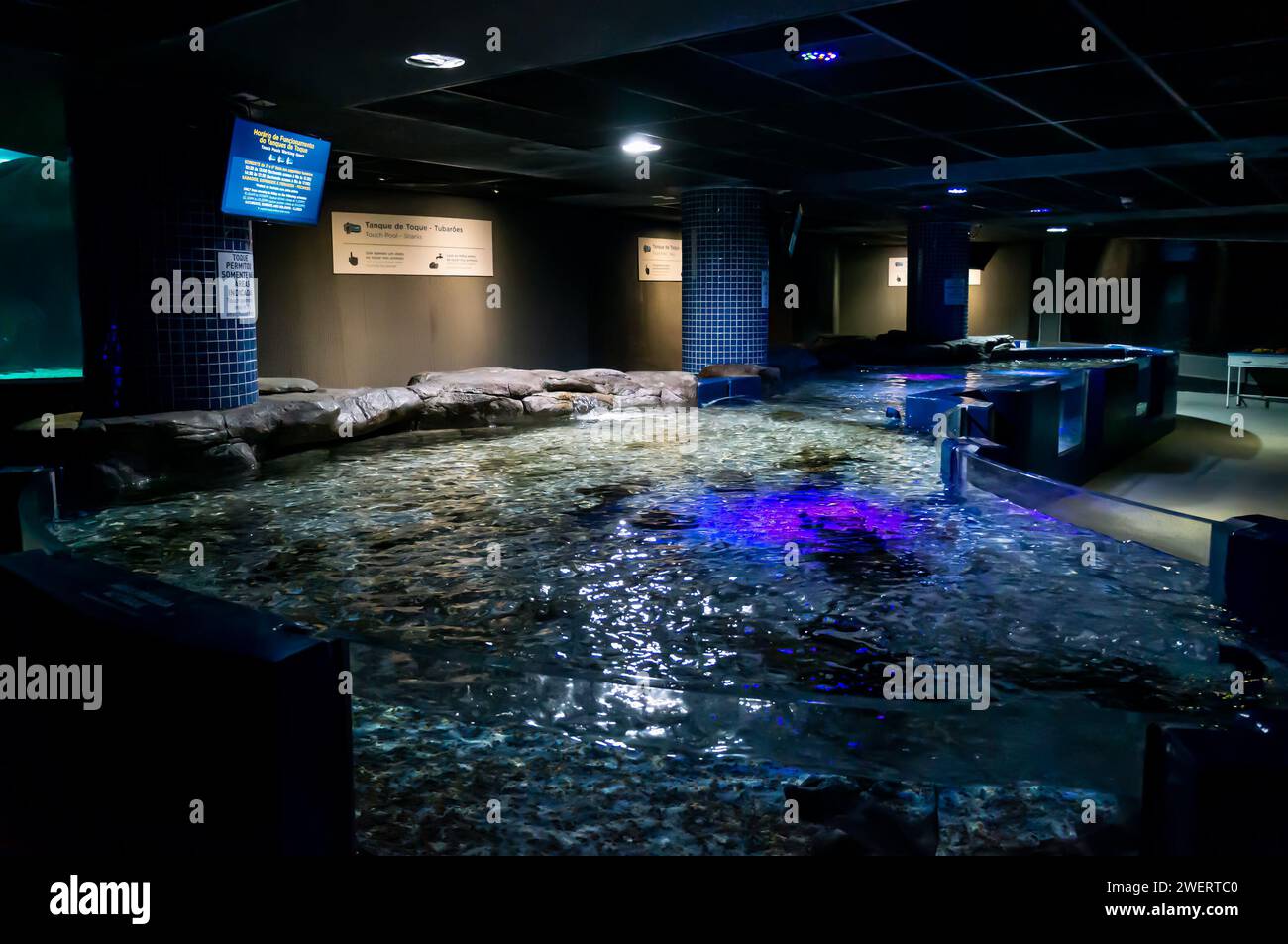 Leere Touch Pools Tankbereich, in dem Besucher einige Fischarten anfassen können, befindet sich in einem dunklen Raum des AquaRio öffentlichen Aquariums im Bezirk Gamboa. Stockfoto