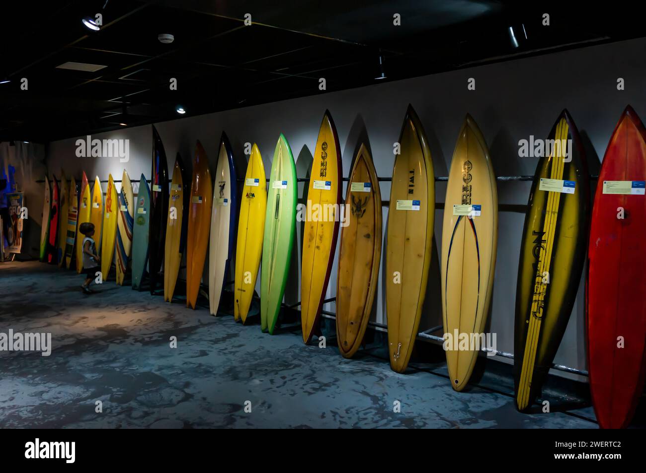 Eine Sammlung von farbenfrohen Surfbrettern an einer Wand, Teil der Ausstellung des Rico Surf Museums, die im AquaRio öffentlichen Meerwasseraquarium im Bezirk Gamboa ausgestellt ist. Stockfoto