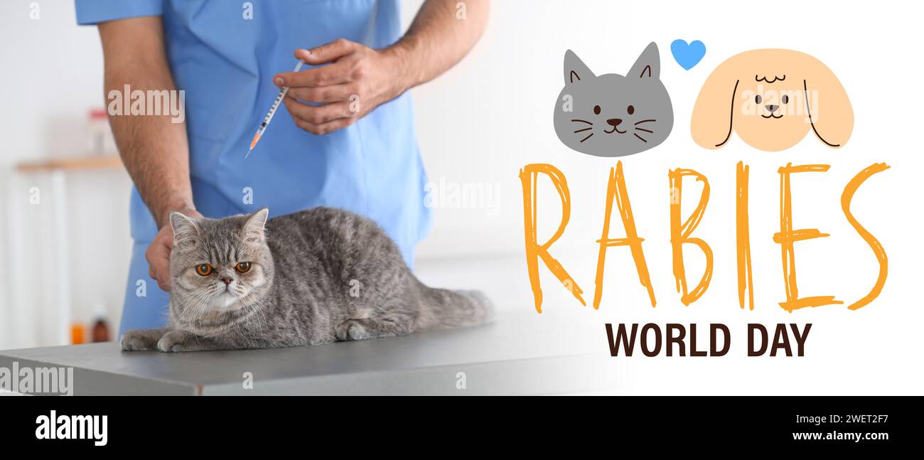 Sensibilisierungsbanner zum Welttollwuttag mit tierärztlich impfender Katze Stockfoto