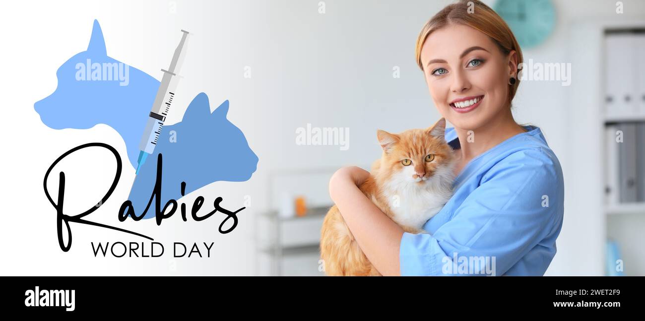 Sensibilisierungsbanner zum Welttollwuttag mit Katze und Tierärztin Stockfoto