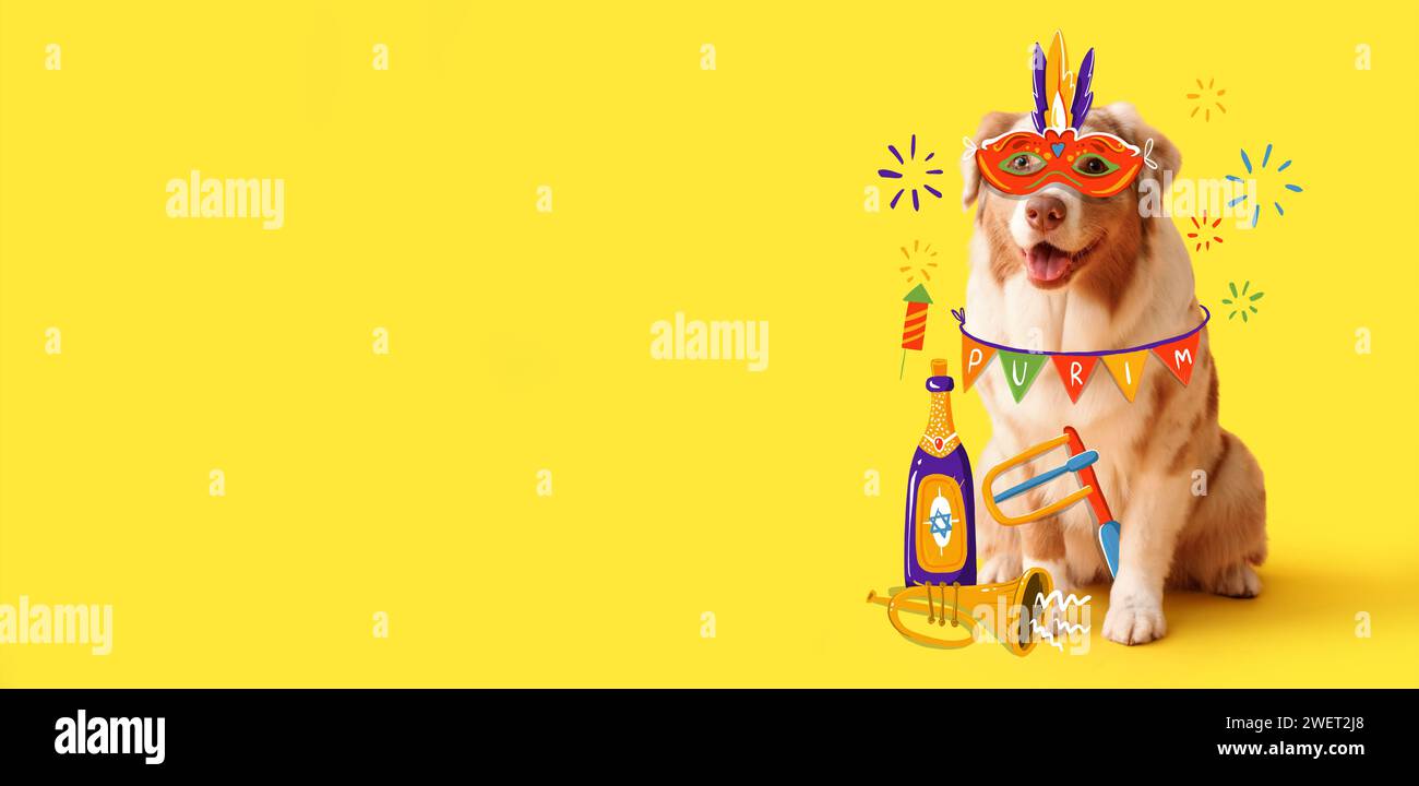 Niedlicher australischer Schäferhund mit Karnevalsverkleidung und Dekor auf gelbem Hintergrund mit Platz für Text. Purim-Feier Stockfoto