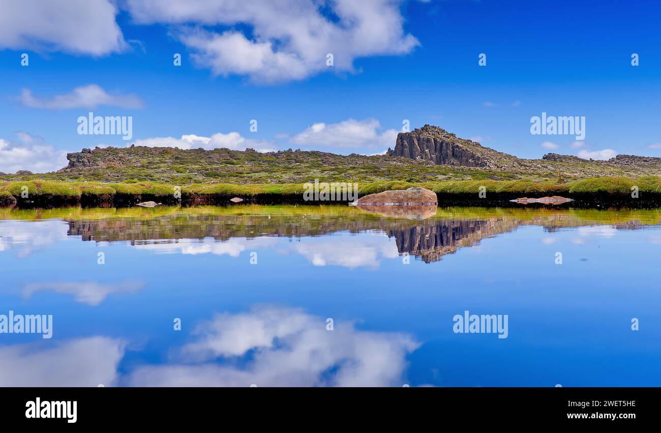 Blauer Himmel und Wolken mit dem doleritartigen Gipfel des Mount Field West spiegeln sich am sonnigen Tag im Lake tarn im Mount Field National Park, Tasmanien, Australien Stockfoto