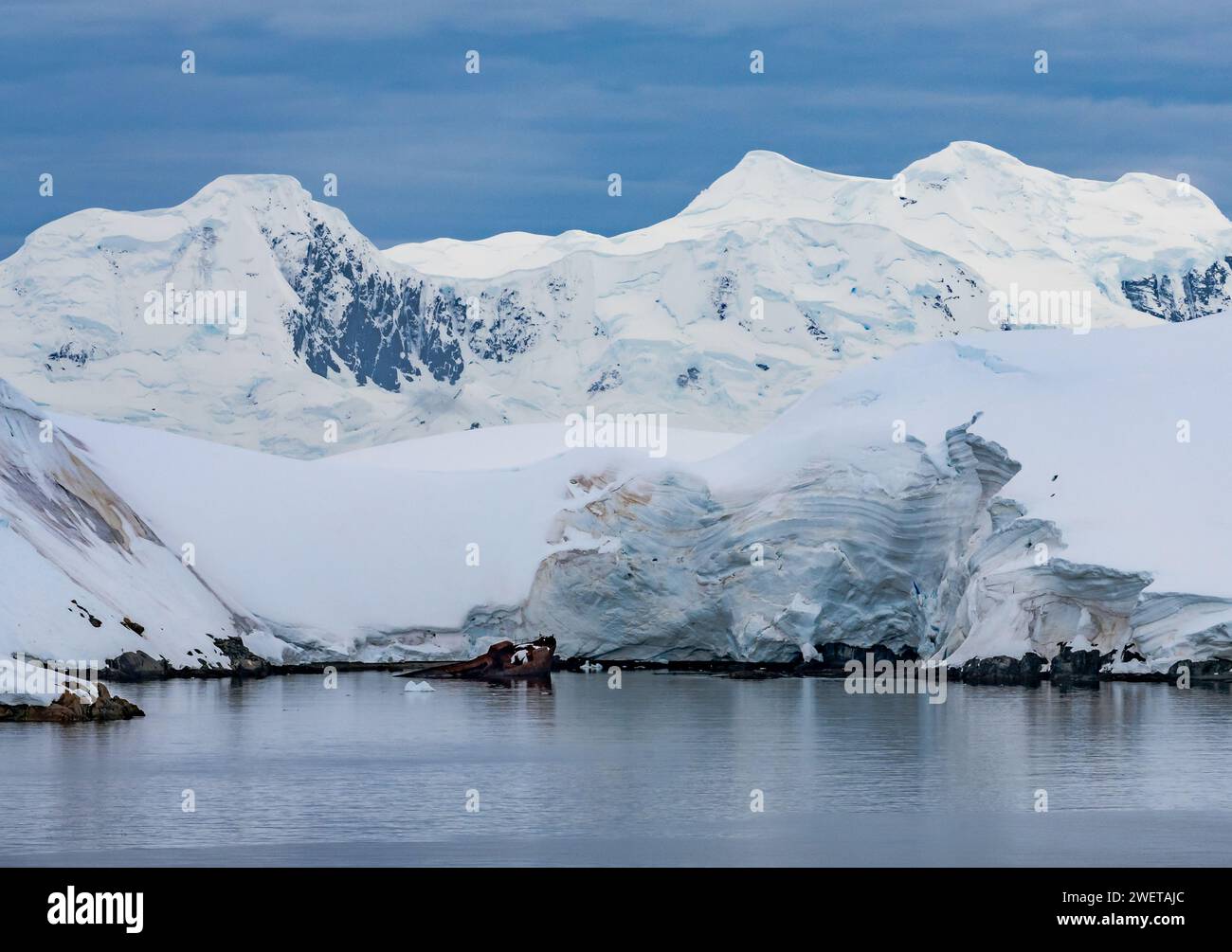 Schiffswrack eines Walfangbootes im eiskalten Wasser in der Nähe der Antarktis. Stockfoto