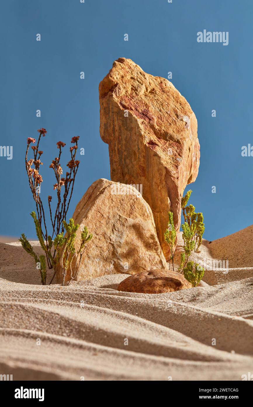 Wüstenkonzept mit Felsen, Wüstenpflanzen und Sand im Hintergrund des blauen Himmels. Natürliche Schönheitsszene für Werbung für Kosmetik oder Produkte. Vorderansicht, Kopie s Stockfoto