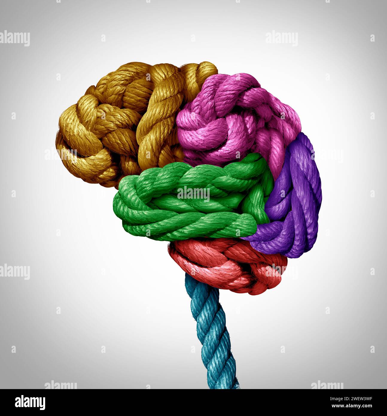 Geistiges Gesundheitsspektrum als verworrenes Gehirn aus verschiedenen Seilen, verdreht in ein menschliches Denkorgan als kognitives Symbol für Geistesfunktion oder Angst Stockfoto