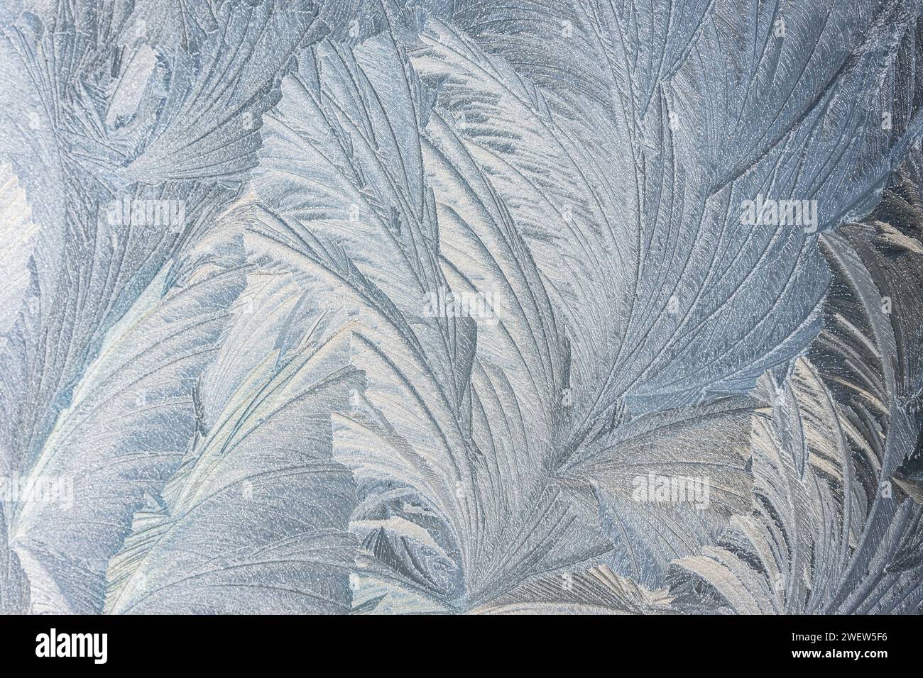 Wunderschöne Eisblumen an gefrorenen Fenstern an einem kalten Morgen im Winter Stockfoto