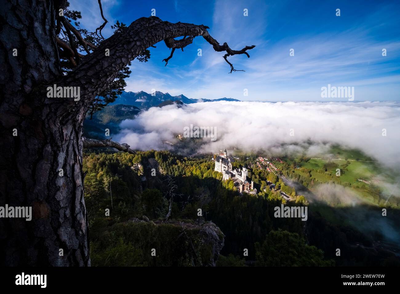 Aus der Vogelperspektive auf Schloss Neuschwanstein und umliegende Alpenlandschaft im Herbst. Stockfoto