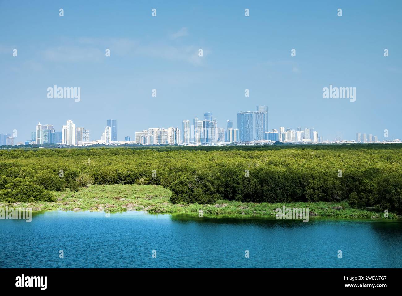 Mangroven im Persischen Golf. Vereinigte Arabische Emirate. Vor dem Hintergrund der Wolkenkratzer von Abu Dhabi Stockfoto