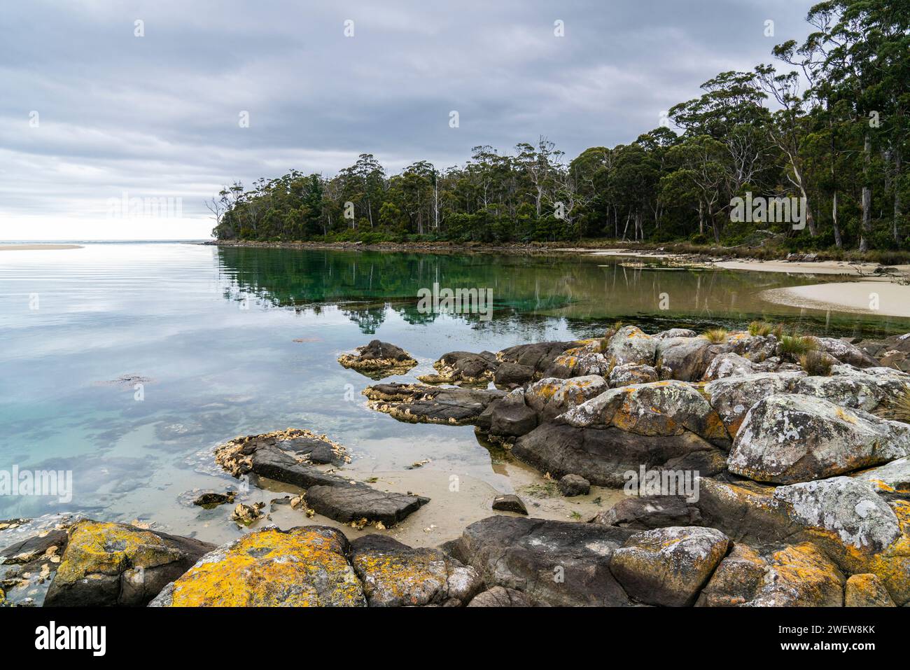 Wolkenkratzer auf South Bruny Island, Tasmanien Stockfoto