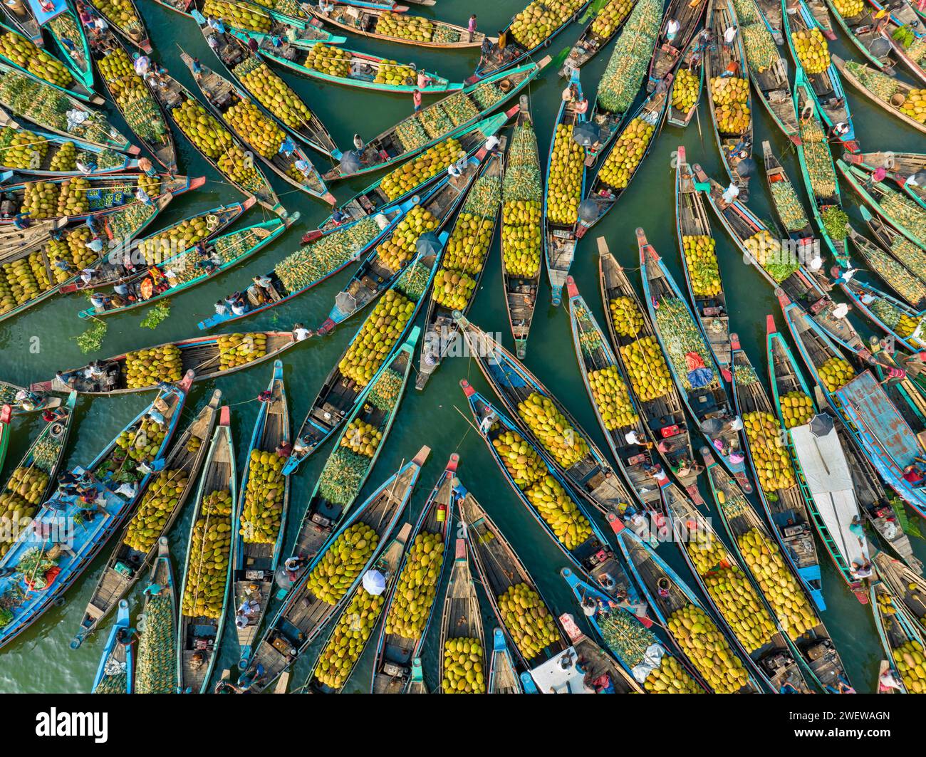 Aus der Vogelperspektive auf dem schwimmenden Markt mit saisonalen Früchten auf den Booten in Kaptai Lake, Rangamati, Bangladesch. Stockfoto