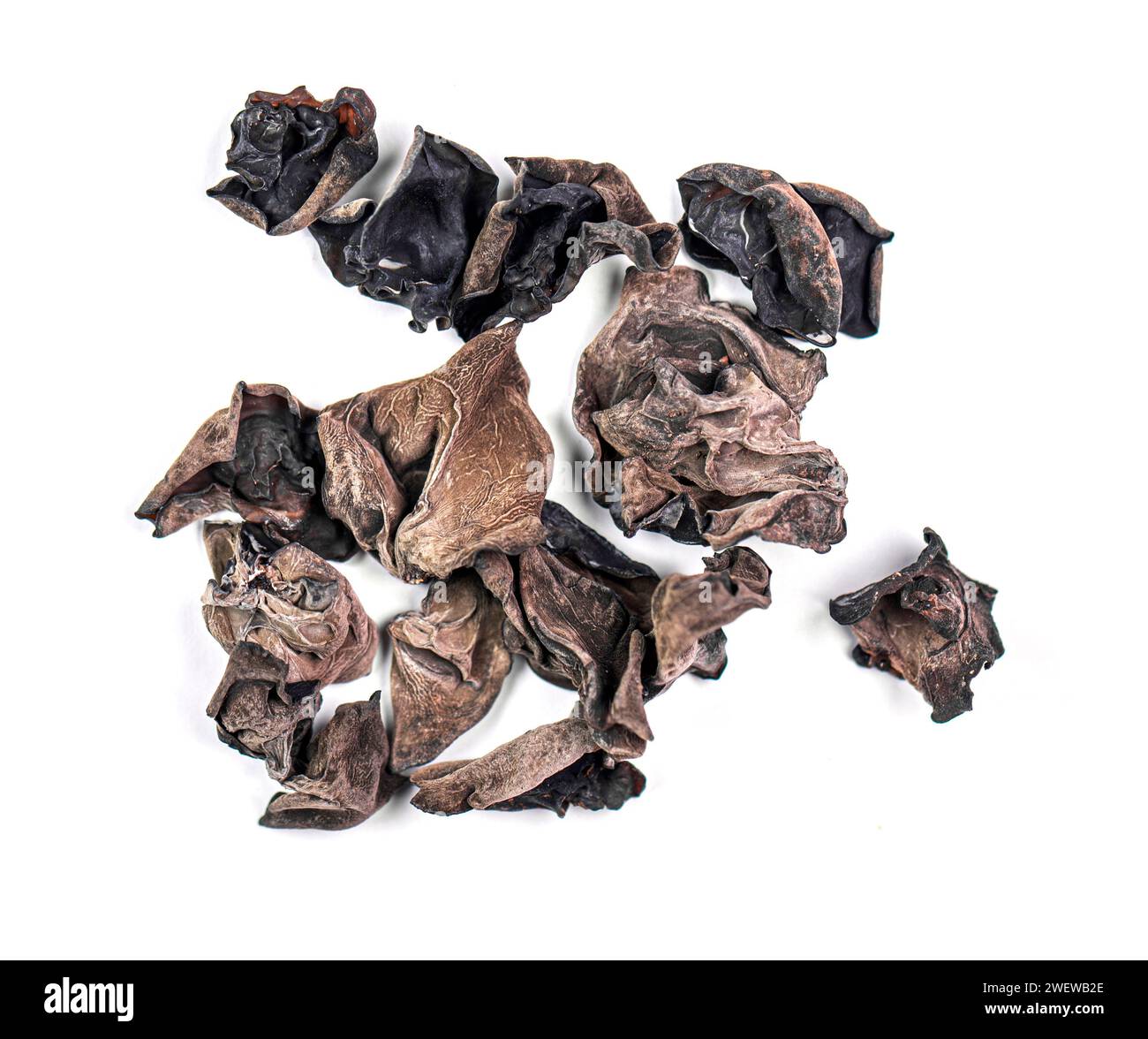 Getrocknete asiatische Pilze auricularia polytricha, Wolkenohr isoliert auf weiß, Draufsicht Stockfoto