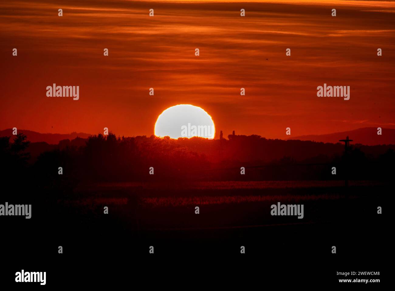 Landschaft bei Sonnenuntergang mit einem wilden Grasfeld und einem Wald im Hintergrund. Stockfoto