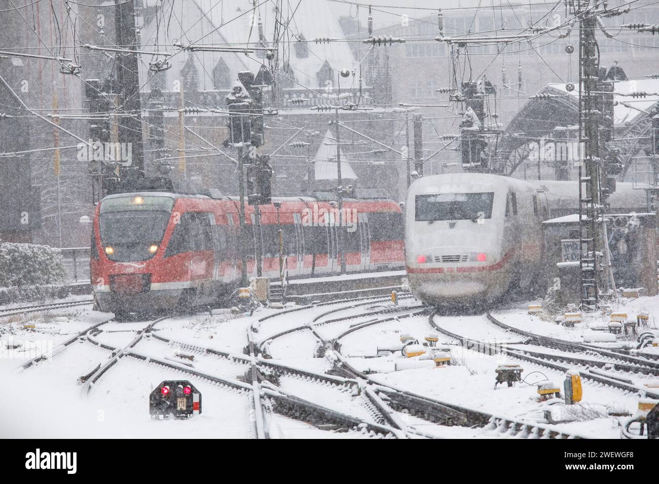 ICE 1 erreicht den Hauptbahnhof, Regionalzug fährt ab, Schnee, Schneefall, Köln, Deutschland. Januar: 2024 ICE 1 bei der Einfahrt in den Hauptba Stockfoto