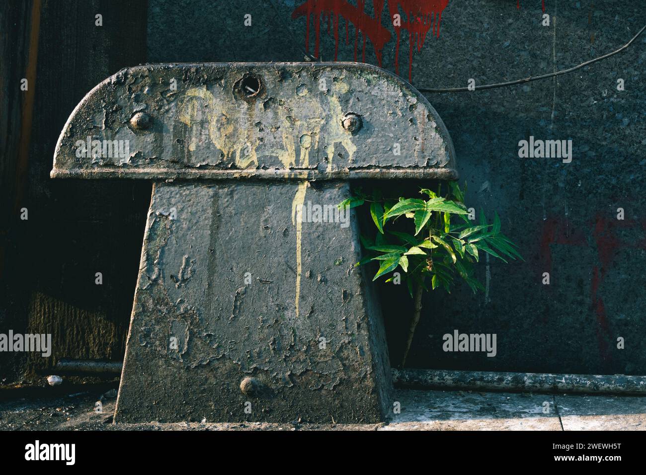 Retro-Filmszene mit einem grünen Baum in urbanem Metall rostgrungy Hintergrund mit roter Farbe und einer grauen Wand Stockfoto