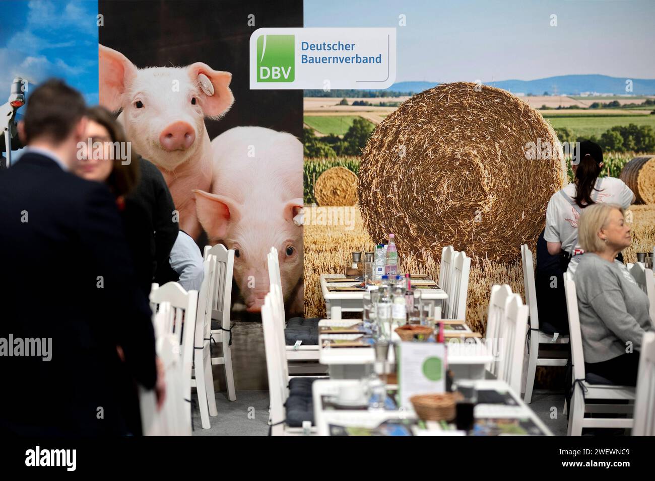 Gruene Woche Berlin DEU, Deutschland, Berlin, 23.01.2024 Besucher vor Logo DBV Deutscher Bauernverband auf der Messe der Internationalen Gruenen Woche unter dem Motto Moege die Vielfalt mit Euch sein in Berlin Deutschland. Die Internationale Gruene Woche Berlin ist eine internationale Verbrauchermesse und Ausstellung der Ernaehrungswirtschaft, Landwirtschaft, Gartenbau und für landwirtschaftliche Produkte aus aller Welt. Grüne Woche en: Besucher vor dem DBV Logo des Deutschen Bauernverbandes DBV Deutscher Bauernverband im Landwirtschaftsbereich der Grünen Woche, Internation Stockfoto