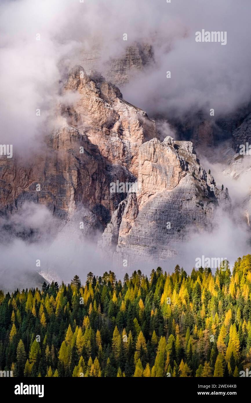 Farbenfrohe Lärchen- und Kiefernbäume an den Hängen des Berges Piz Cunturines, umgeben von Wolken nach einem Regensturm, am Valparola-Pass im Herbst. Cor Stockfoto
