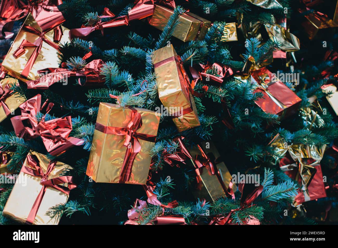Ein Weihnachtsbaum mit goldenen Geschenkboxen und roten Bändern Stockfoto