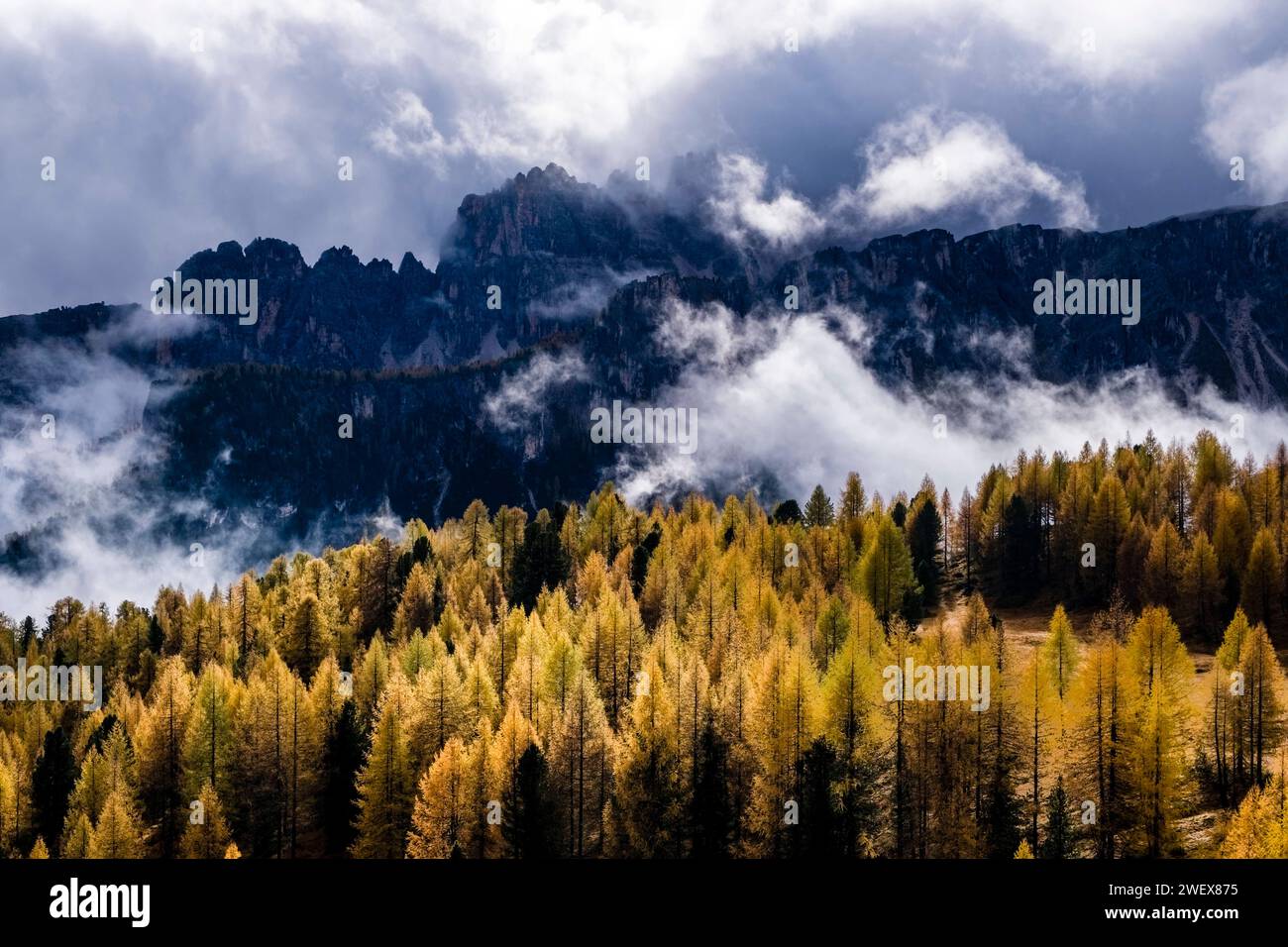 Felsklippen und Bergrücken oberhalb des Berges Cima Ambrizzola, teilweise bedeckt von Wolken nach einem Regenschauer, hinter bunten Lärchen und Kiefern. Cortina Stockfoto