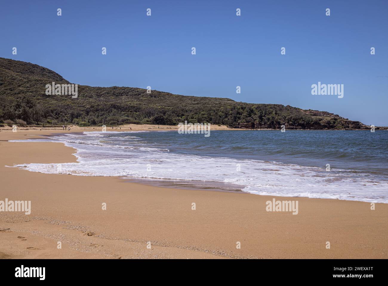 Putty Beach, Bouddi National Park, New South Wales, Australien Stockfoto