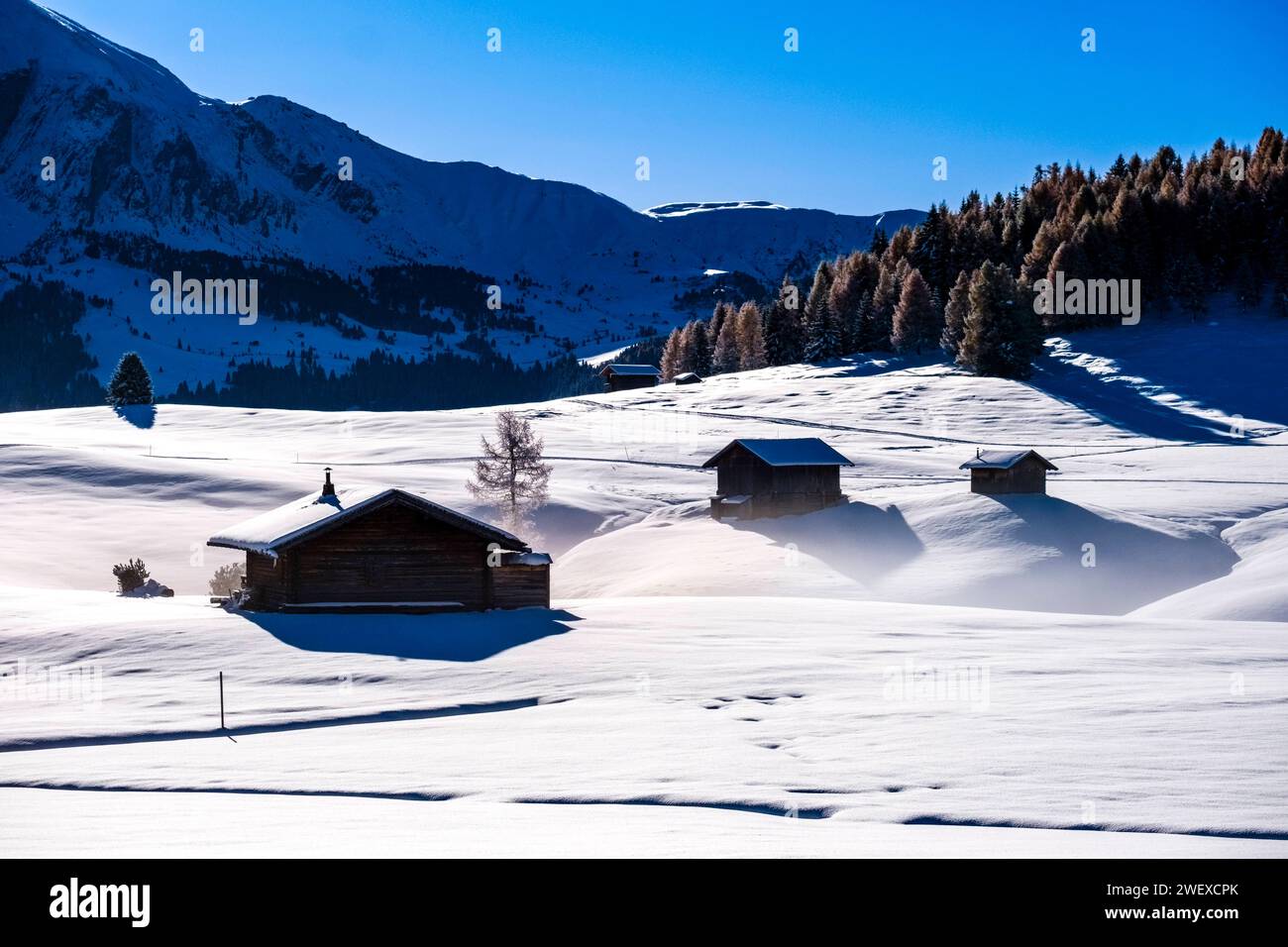 Hügeliges Ackerland mit Nebel, Holzhütten, Bäumen und verschneiten Weiden auf der Seiser Alm im Winter. Kastelruth Trentino-Südtirol Italien FB Stockfoto