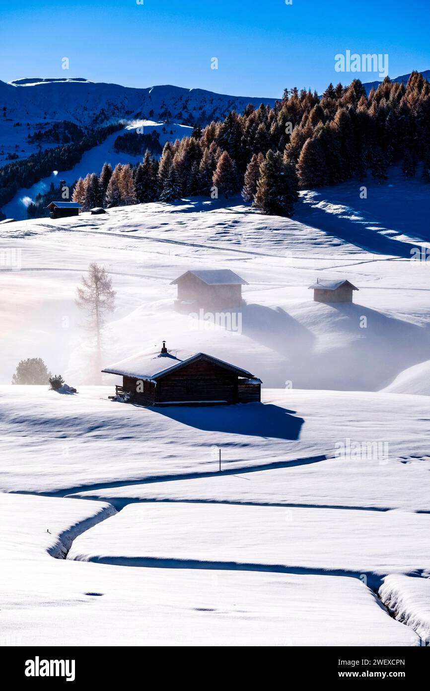 Hügeliges Ackerland mit Nebel, Holzhütten, Bäumen und verschneiten Weiden auf der Seiser Alm im Winter. Kastelruth Trentino-Südtirol Italien FB Stockfoto