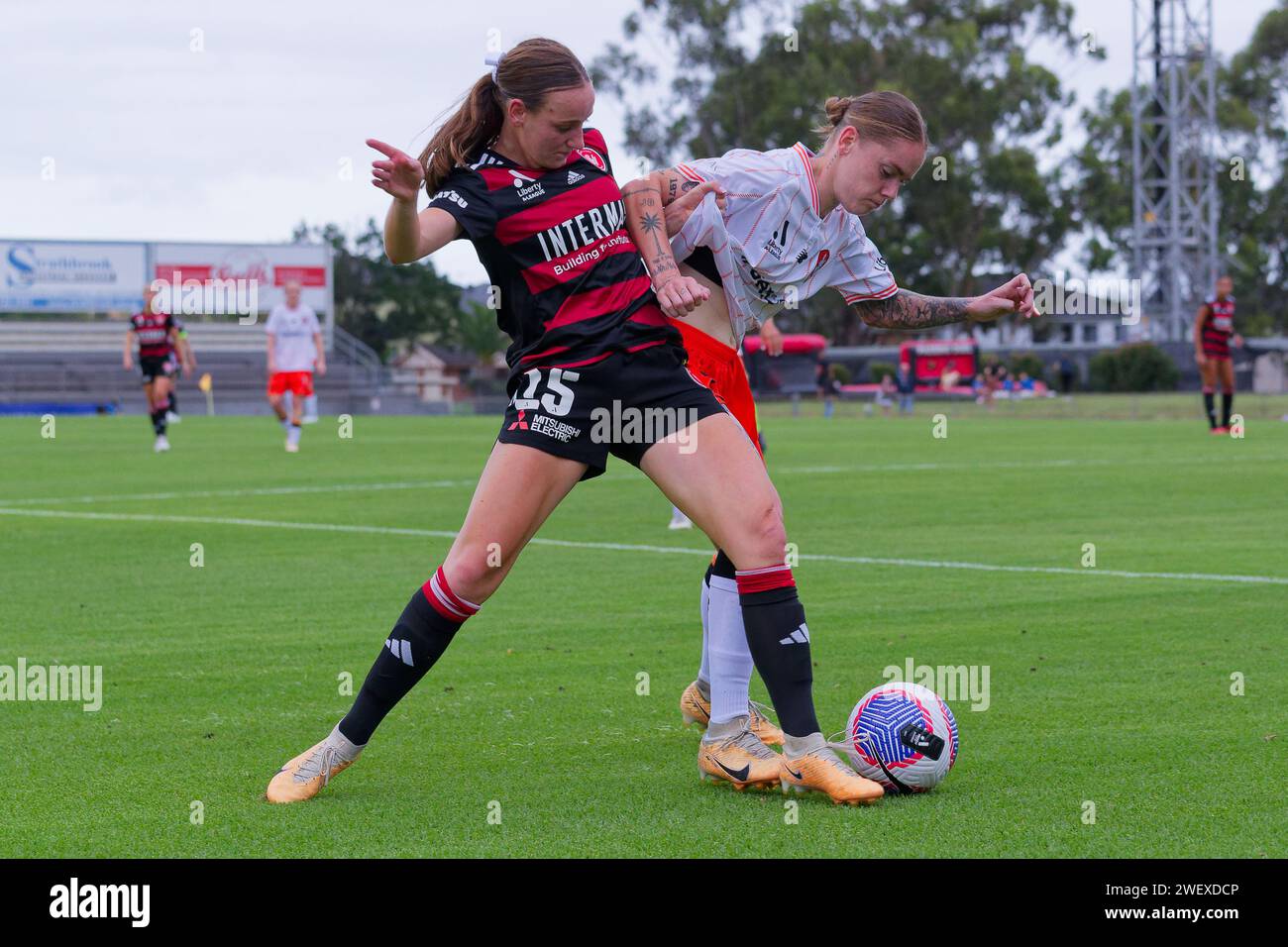 Sydney, Australien. Januar 2024. Sharn Freier aus Brisbane tritt am 27. Januar 2024 im Marconi Stadion in Sydney, Australien um den Ball an Stockfoto