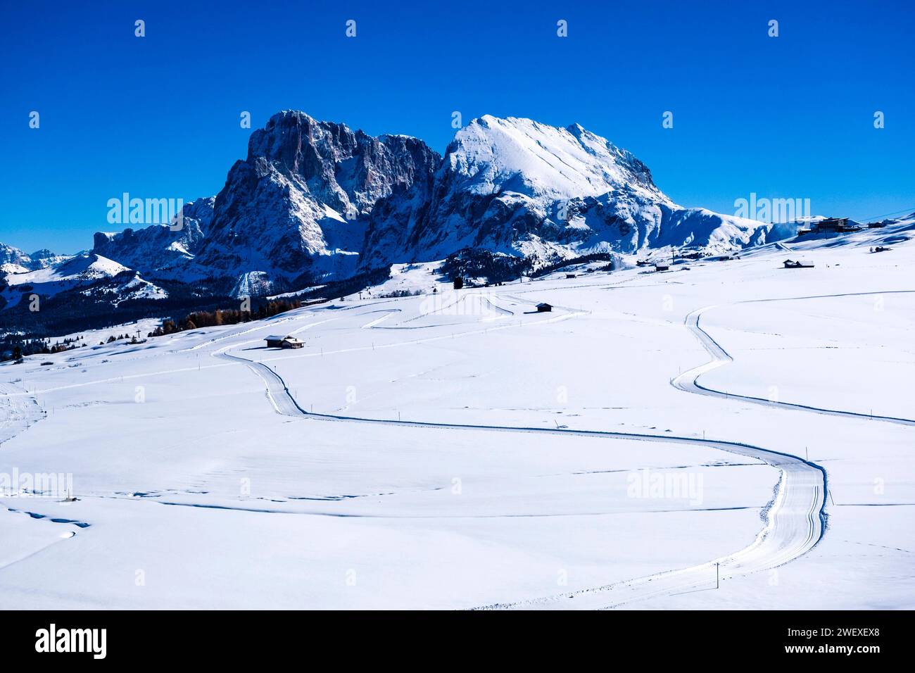 Langlaufloipen auf verschneiten Weiden auf der Seiser Alm im Winter, Gipfel des Langkofs und des Sasso Piatto in der Ferne. Kastelruth Trentino Stockfoto