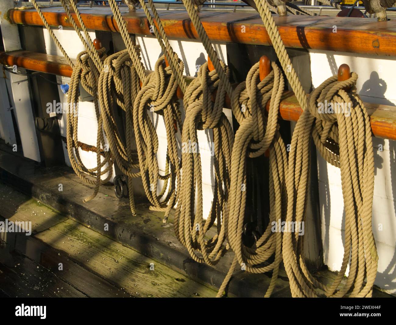Hanfseile und Sicherungsnadeln, Rigging-Details auf der RRS Discovery in Dundee, Schottland, Großbritannien Stockfoto