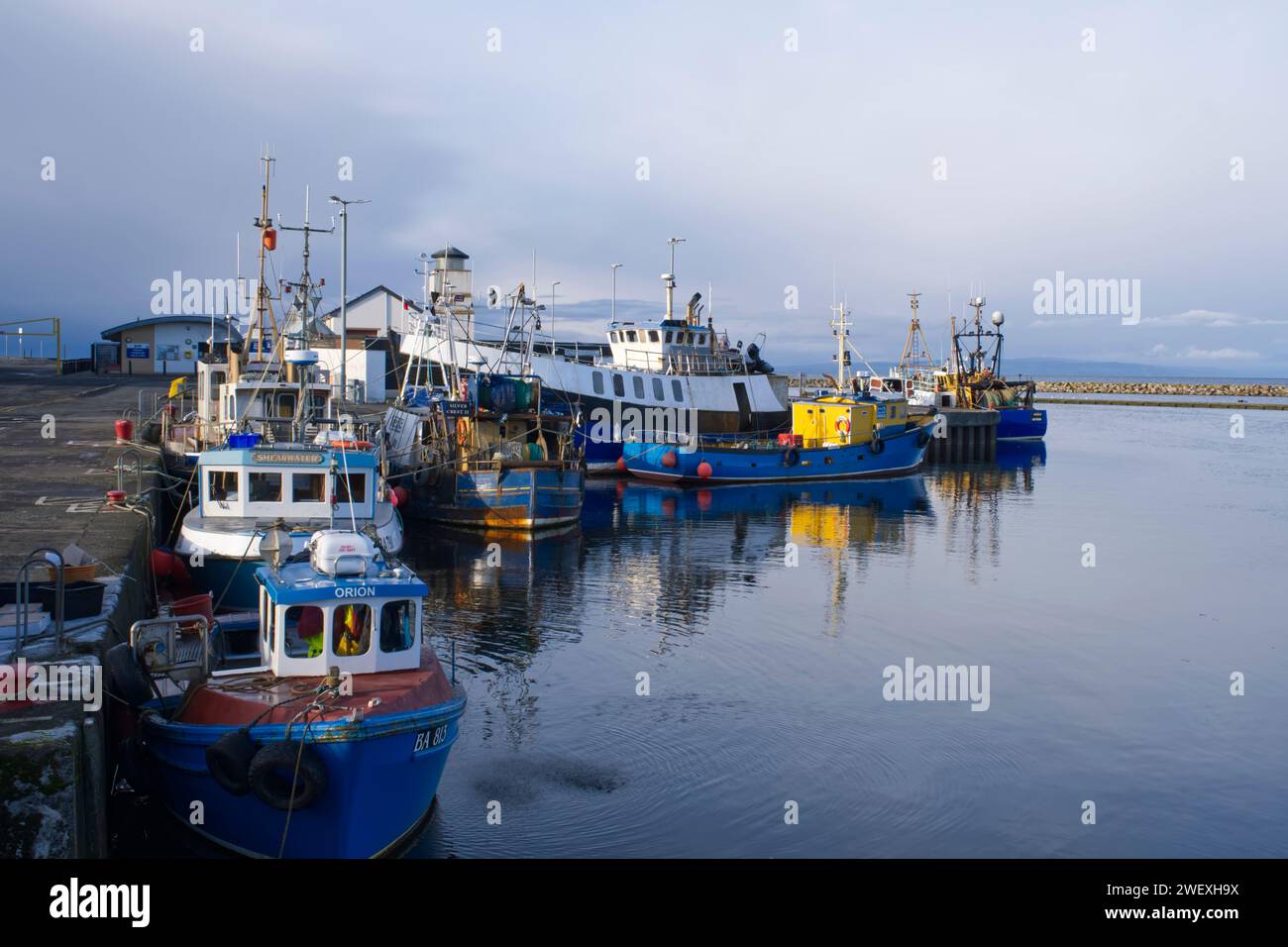Fischerboote im Hafen, Girvan, South Ayrshire, Schottland, GB Stockfoto