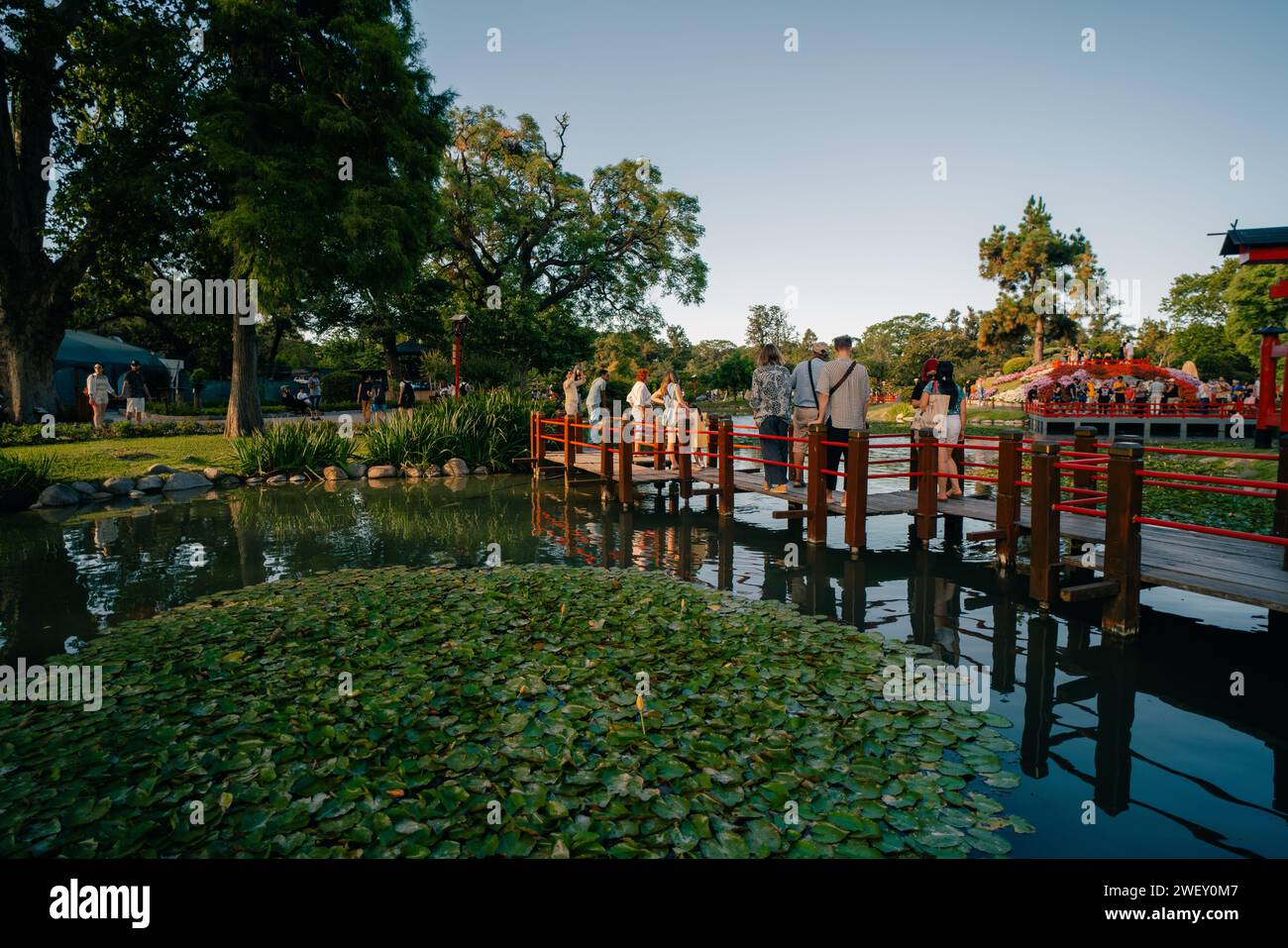 Buenos Aires, Argentinien - 14. Dezember 2023 Japanischer Garten Buenos Aires, Jardin Japones. Hochwertige Fotos Stockfoto