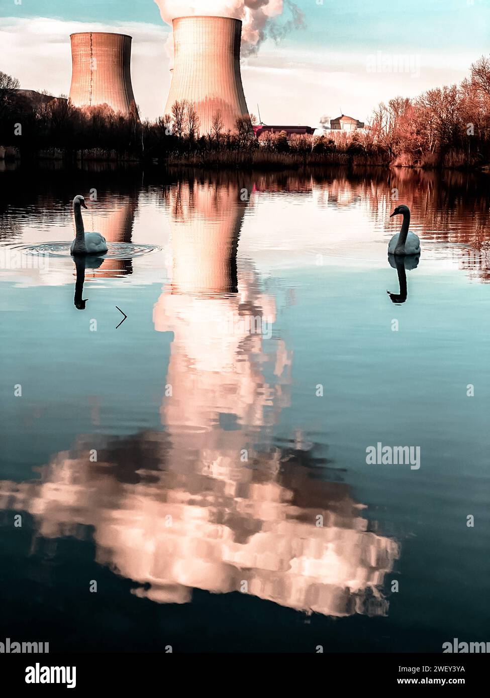 Französische Stromerzeugung und Umwelt trügerische Idylle Meereslandschaft mit Schwänen vor dem Kernkraftwerk Cruas France Stockfoto