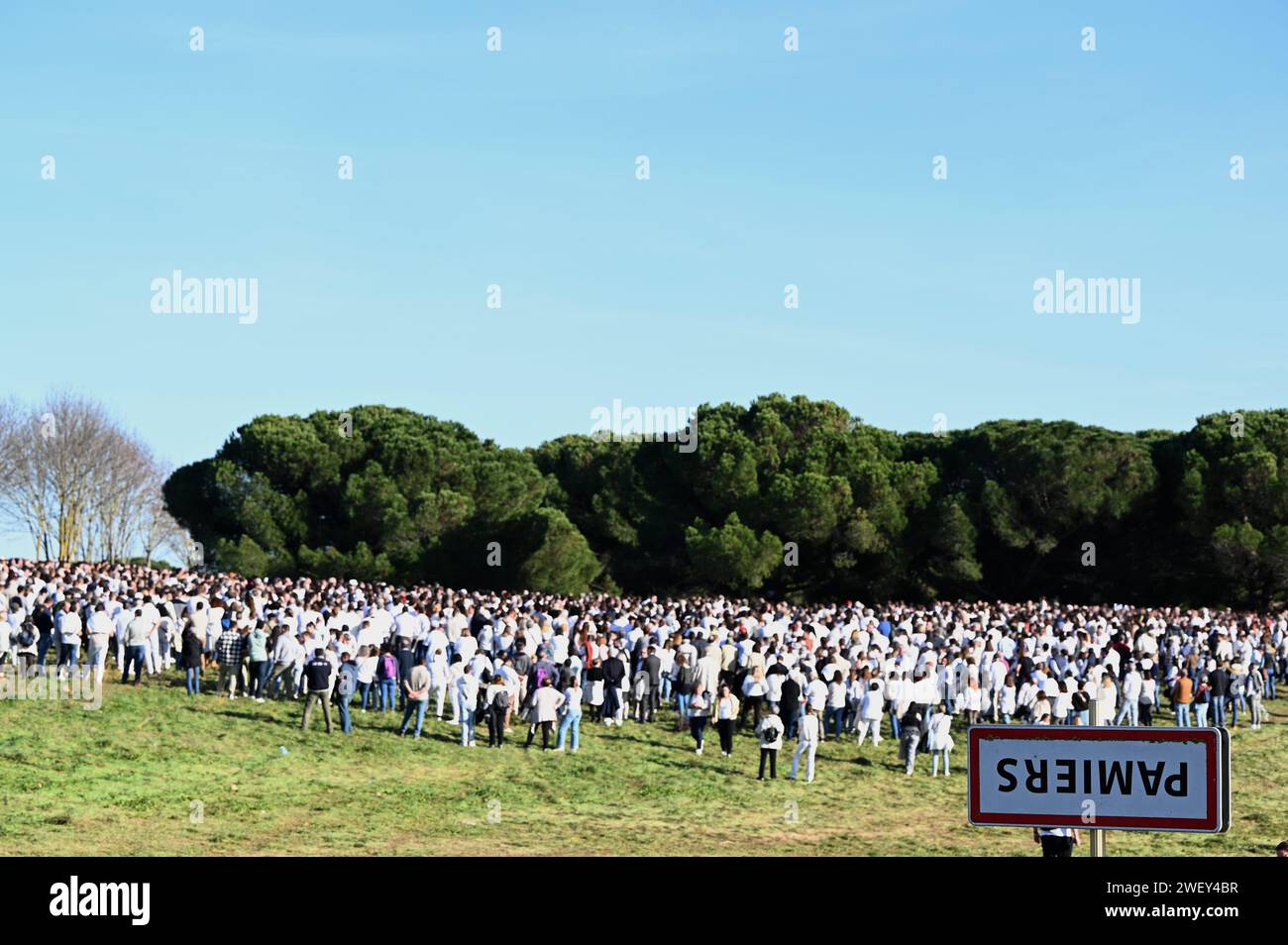 © REMY GABALDA/MAXPPP - PAMIERS 27/01/2024 4000 PERSONNES ONT MARCHE DANS LES RUES DU CENTRE DE PAMIERS EN LA MEMOIRE ALEXANDRA ET CAMILLE MORTES DANS UN ACCIDENT DE VOITURE SUR UN BARRAGE D AGRICULTEURS LA MARCHE BLANCHE EN HOMMAGE À ALEXANDRA ET CAMILLE SONAC, Décédées après avoir été fauchées au petit matin du mardi 13 janvier sur un barrage d'agriculteurs à Pamiers (Lot-et-Garonne), a réuni ce samedi « environ 4 000 personnes », selon la préfecture. Pamiers, Frankreich, am 27. januar 2024 startete die Prozession gegen 13:30 Uhr vor dem Landwirtschaftsgymnasium Pamiers. Zwischen 3.000 und Stockfoto