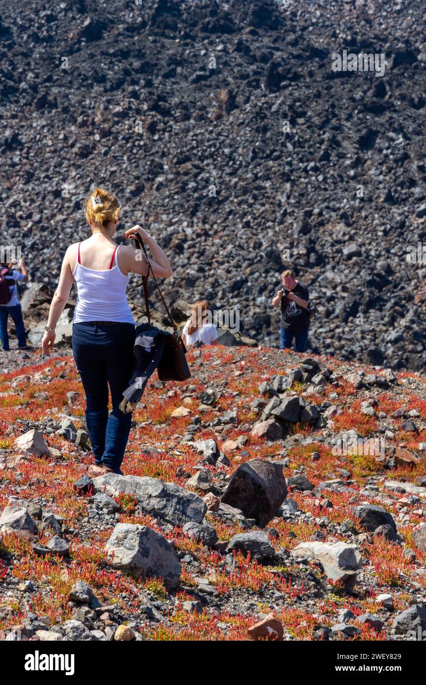 Touristen wandern auf vulkanischem Boden, über wilde rote und orangene Blumen und rauen vulkanischen Hintergrund, am Vulkan Santorin, in Griechenland, Europa. Stockfoto