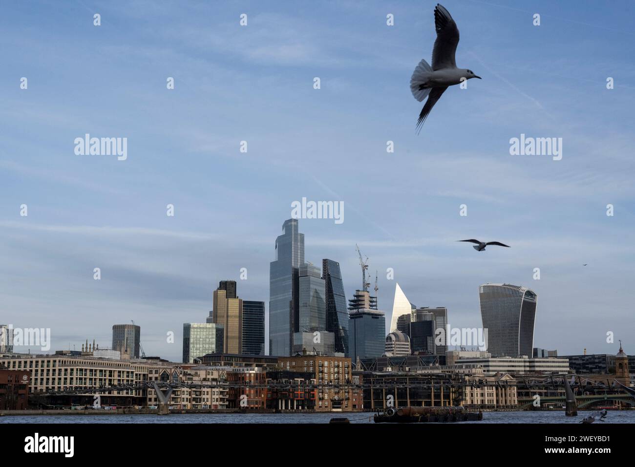 London, Großbritannien. 27. Januar 2024. Ein allgemeiner Blick auf die Wolkenkratzer des Finanzviertels City of London (mit vorbeiziehenden Möwen und Tauben). Michael Mainelli, Oberbürgermeister der City of London, es wurde berichtet, dass der Brexit in letzter Zeit keine langfristigen Auswirkungen auf den Handel in der City of London hat und dass die Stadt trotz des Austritts des Vereinigten Königreichs aus der EU weiterhin Finanz- und Anwaltskanzleien sowie enorme Kapitalsummen anzieht. Quelle: Stephen Chung / Alamy Live News Stockfoto