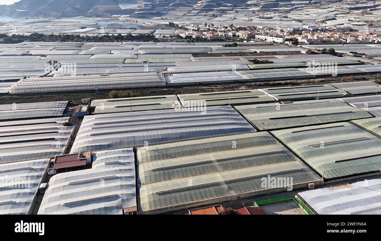 27/01/2024 Kunststoffgewächshäuser in Carchuna in der Region Almeria in Spanien Stockfoto