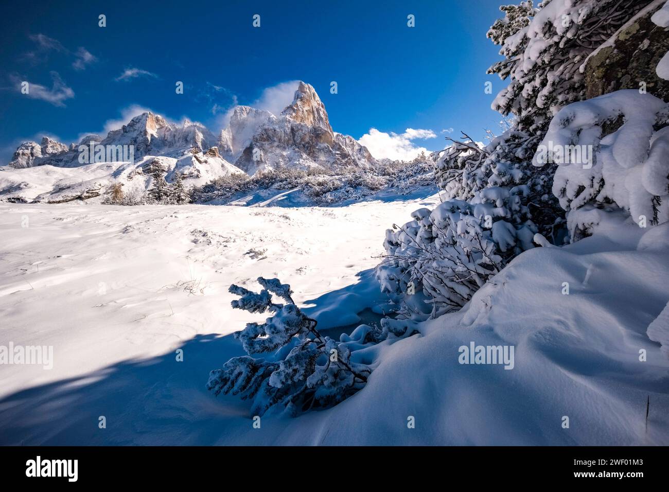 Die Gipfel der Pala-Gruppe, Cimon della Pala in der Mitte, von oberhalb des Passo Rolle gesehen, passieren im Winter. San Martino di Castrozza Trentino-Südtirol IT Stockfoto