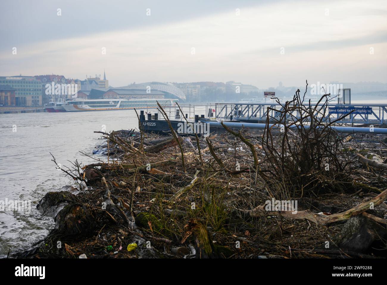 Budapest, Ungarn - 30. Dezember 2023: Baumschutt stecken unter der Freiheitsbrücke in der Donau nach Überschwemmungen fest. Stockfoto