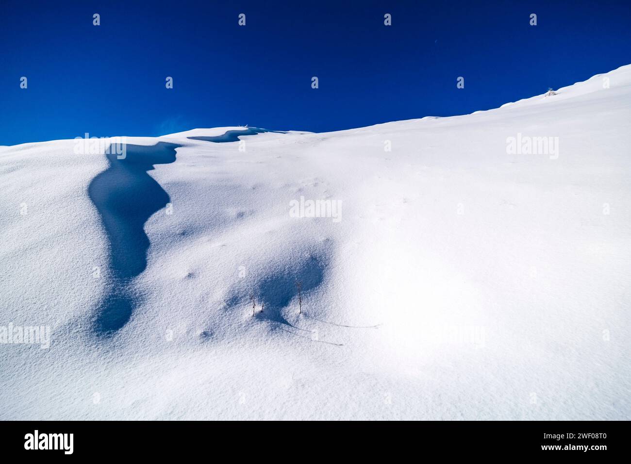 Im Winter passieren Schneeschwemmwerke auf einem Hügel im Val Venegia oberhalb des Passes Rolle. San Martino di Castrozza Trentino-Südtirol Italien FB 2023 3740 Stockfoto