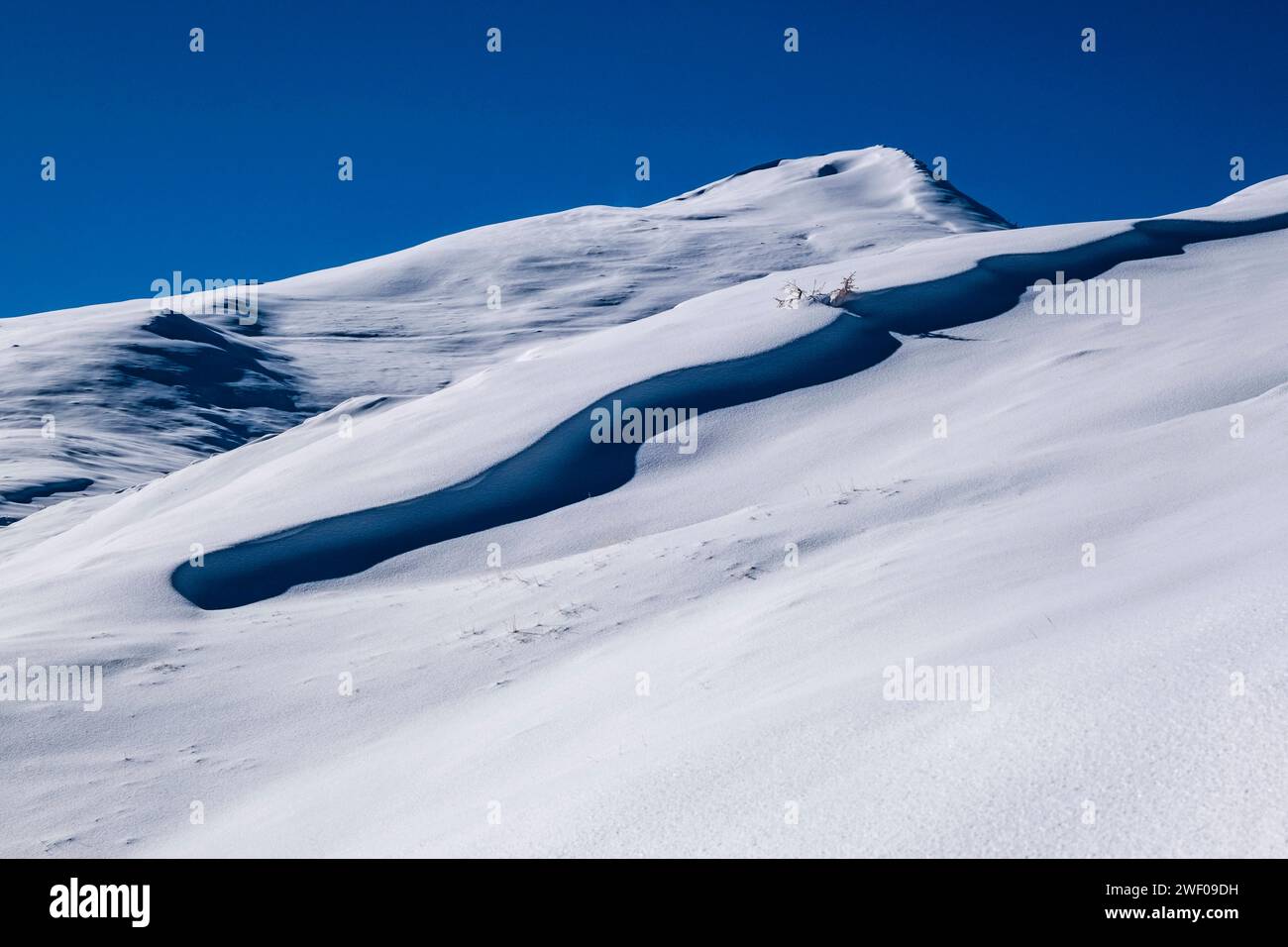 Im Winter passieren Schneeschwemmwerke auf einem Hügel im Val Venegia oberhalb des Passes Rolle. San Martino di Castrozza Trentino-Südtirol Italien FB 2023 3767 Stockfoto