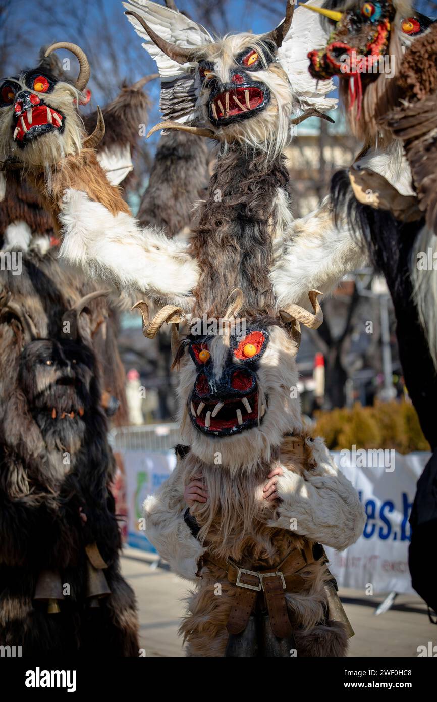 Pernik, Bulgarien - 26. Januar 2024: Maskerade-Festival zum 30. Geburtstag in Pernik Bulgarien. Leute mit einer Maske namens Kukeri tanzen und spielen zu sc Stockfoto