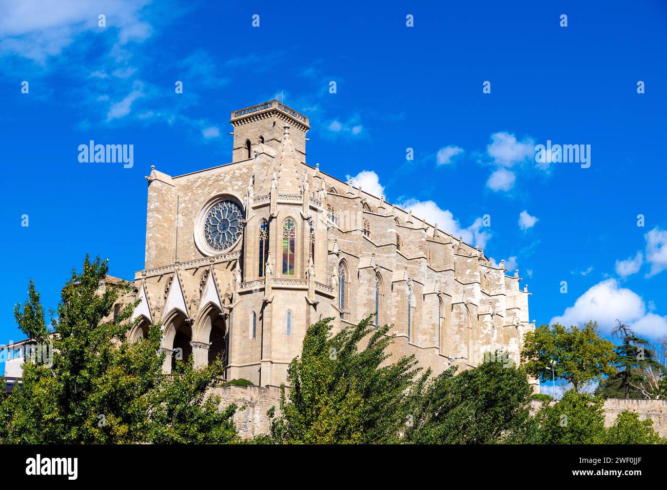 Hinter der Basilika Santa Maria de La Seu in der Sonne und hellen Wolken mit Bäumen im Vordergrund Stockfoto