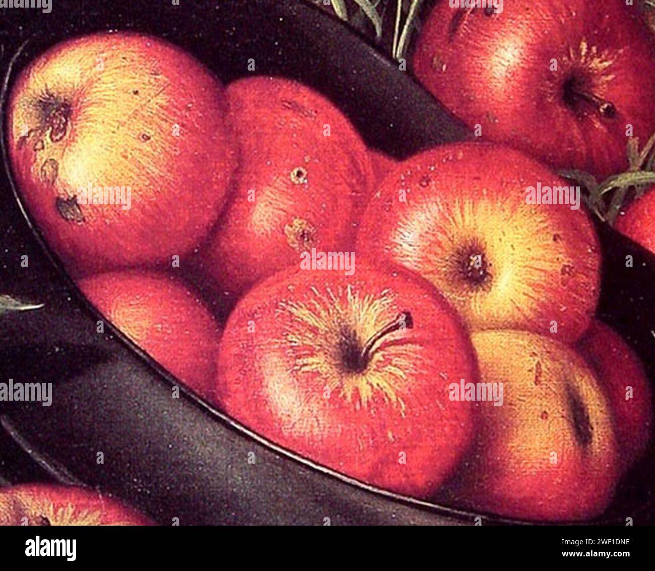 Apple Detail, aus- Stillleben von Äpfeln in einem Hut, von Levi Wells Prentice (zugeschnitten). Stockfoto